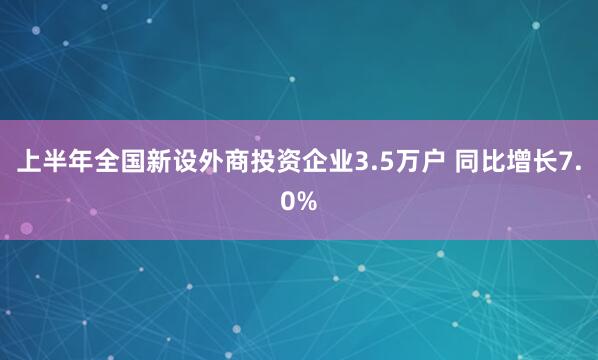 上半年全国新设外商投资企业3.5万户 同比增长7.0%