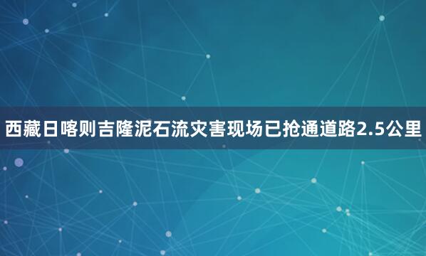 西藏日喀则吉隆泥石流灾害现场已抢通道路2.5公里