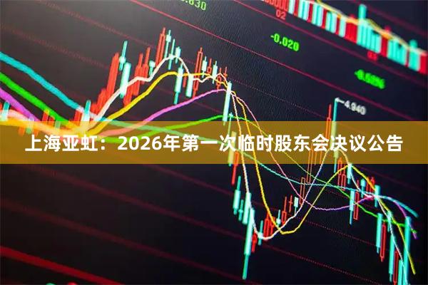 上海亚虹：2026年第一次临时股东会决议公告
